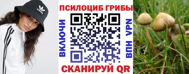 что такое Кочубеевское гидра ТОР Галлюциногенные грибы GOLDEN TEACHER
